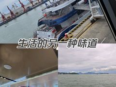 -招商蛇口邮轮母港(观光客运)