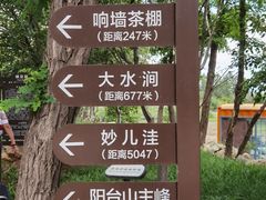 -阳台山自然风景区