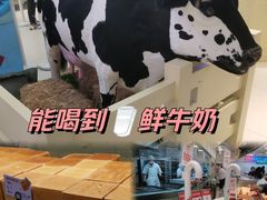 -红星前进面包牛奶公司(君太店)