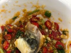 -源港渔村-中山脆肉鲩(博罗店)