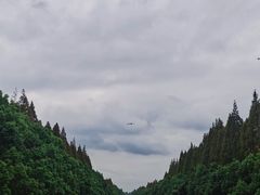 -嘉北郊野公园