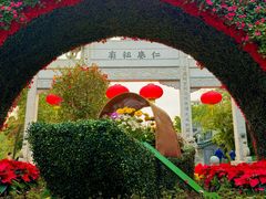 -荔湾湖公园