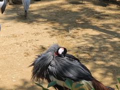 -秦皇岛野生动物园
