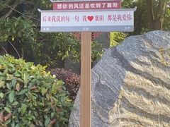 -襄阳古城
