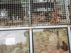 -北京鹿世界主题园