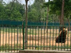 -秦皇岛野生动物园