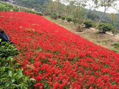 -清溪大王山森林公园