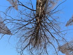 -宝岩生态观光园