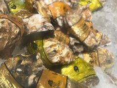 -烧蠔帮·生蚝海鲜牌档(观海店)