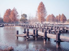 -沙家浜风景区
