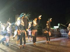 android_upload_pic-清迈夜间动物园