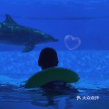 珠海长隆海洋王国必住长隆旗舰横琴湾酒店❗️