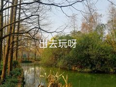 -黄兴公园