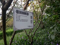 -金鸡山公园
