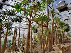 -北京植物园-展览温室