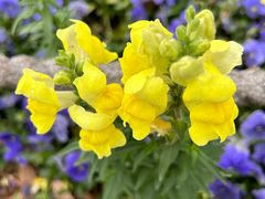 -昆山城市生态森林公园