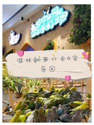 点击看大图 -七巧国萌宠乐园(龙湖天街店)