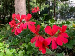 -贺秦生陕面王(富力城店)