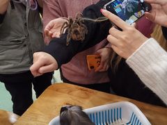 -藦茜花园宠物主题亲子互动体验馆(国顺东路店)
