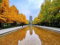 -玲珑塔公园