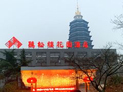 -听松楼·花园酒店·自助餐厅(红梅公园店)