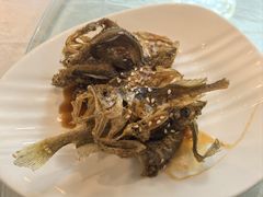 -高老庄新家宴(北斗星广场店)