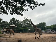 -大连森林动物园