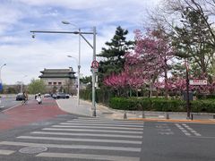 -德胜公园
