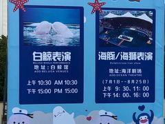 景点-秦皇岛乐岛海洋王国