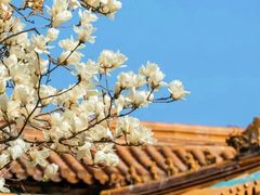 -颐和园