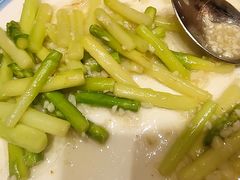 -中苑海韵