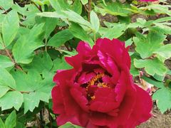 -江南大学(蠡湖校区)