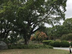 -东莞植物园