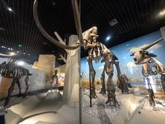 -国家自然博物馆