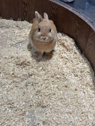 -Zoolung Zoolung动物主题公园(海信广场店)