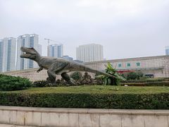 -陕西自然博物馆