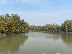 -东湖落雁景区