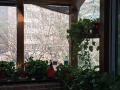 -金豆角砂锅焖面(安贞店)