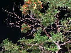 -林记海鲜排档·十年海鲜地标