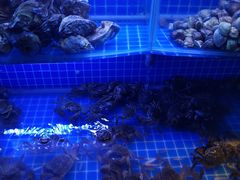 -星伦多自助料理(华润万象城店)