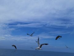 -海驴岛(荣成市)
