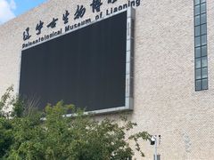 -辽宁古生物博物馆
