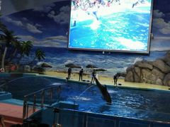 -福州罗源湾海洋世界旅游区