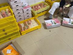 -老袁家蜜桃农场·阳山水蜜桃