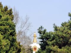 -护国法轮寺