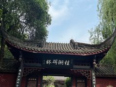-桂湖森林公园