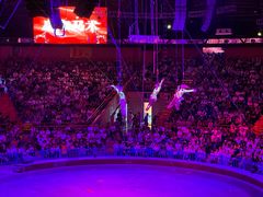 -俄罗斯国家大马戏团