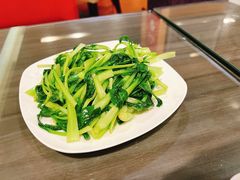 -上海南汇嘴大堤酒店