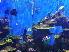 -石林冰雪海洋世界