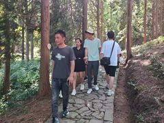 -四明山国家森林公园